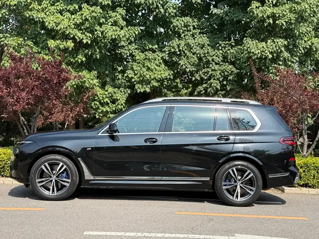 BMW X7 — фото 10