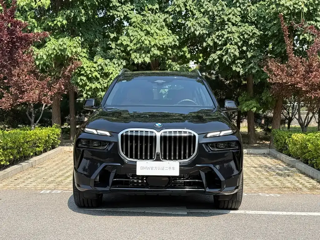 BMW X7 — фото 6