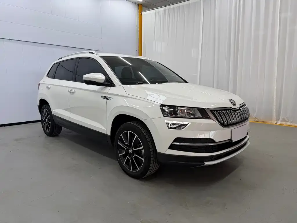 Skoda Karoq — фото 6