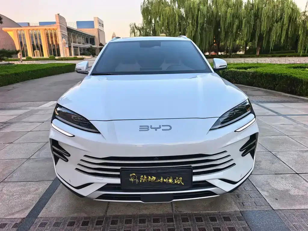 BYD PLUS New Energy — фото 1