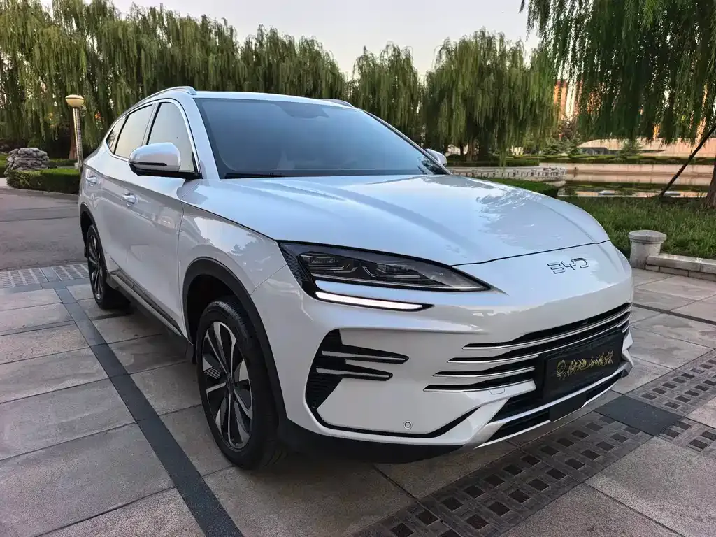 BYD PLUS New Energy — фото 8