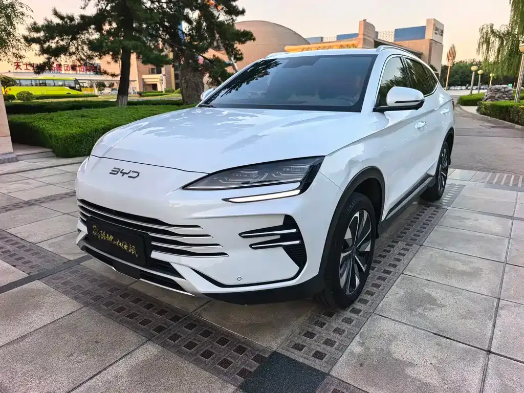 BYD PLUS New Energy — фото 10