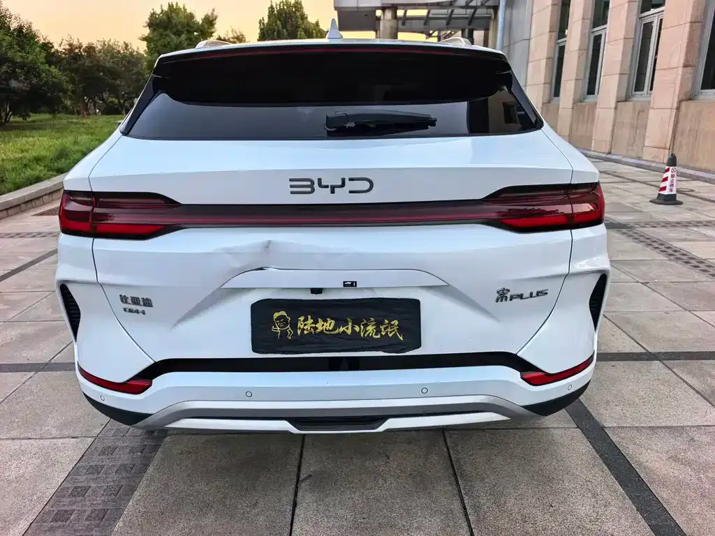 BYD PLUS New Energy — фото 6