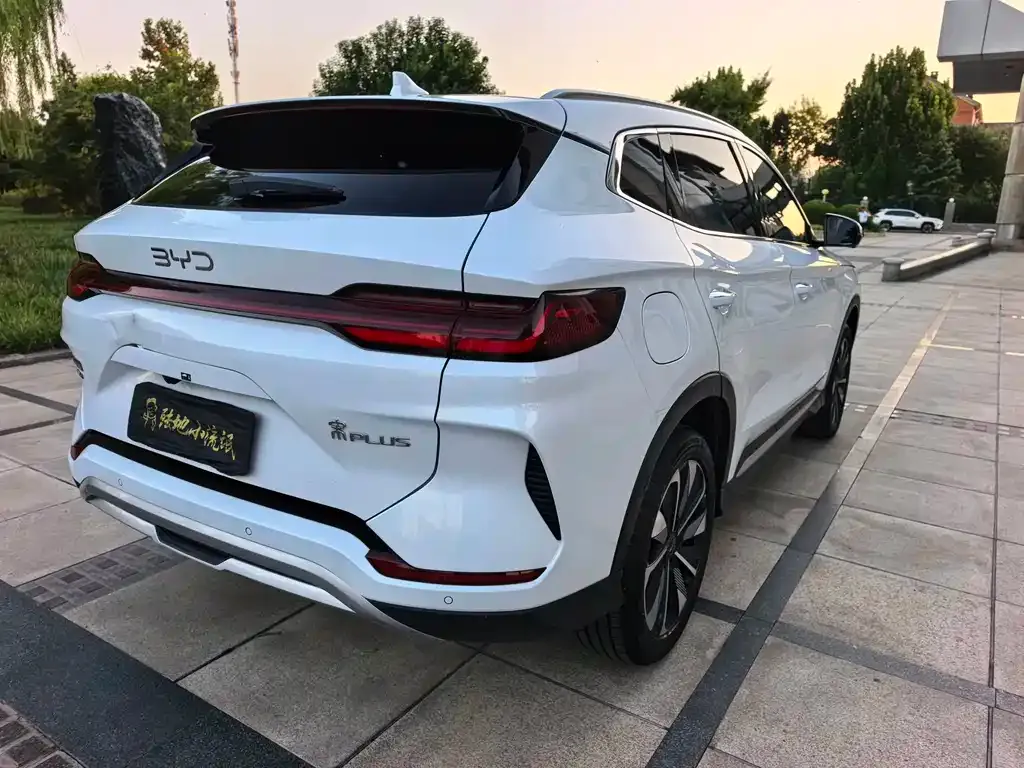 BYD PLUS New Energy — фото 4