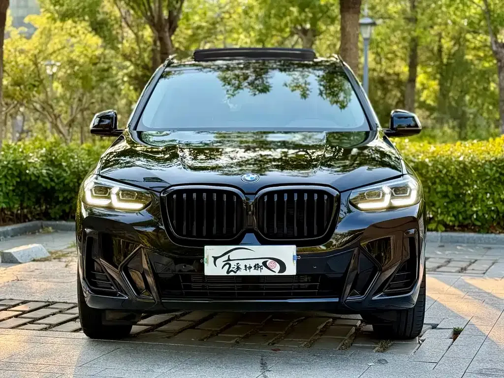 BMW X3 — фото 10