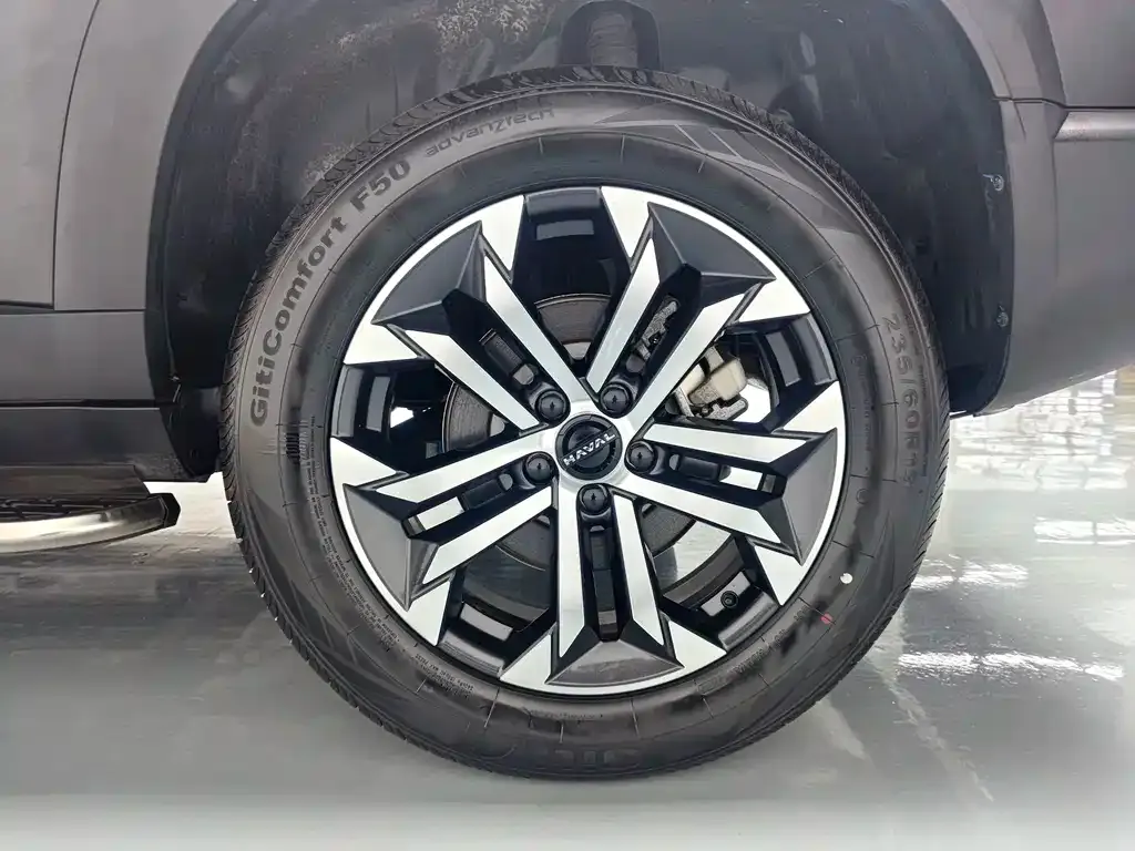 Haval Big Dog — фото 10