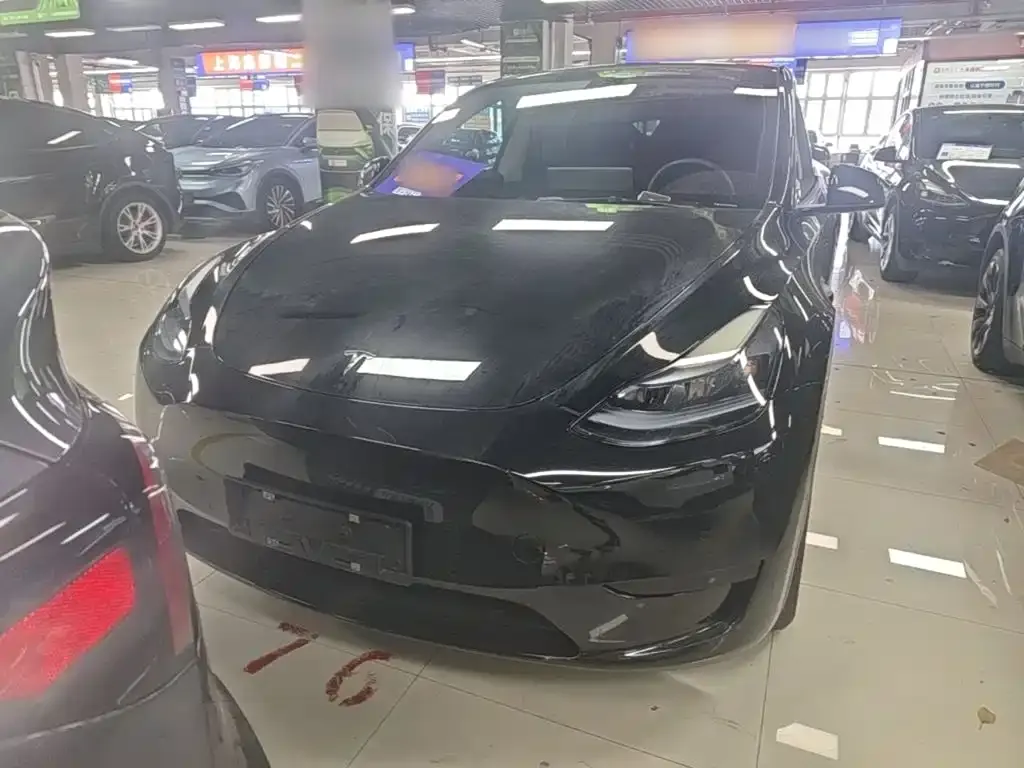 Tesla Model Y — фото 6