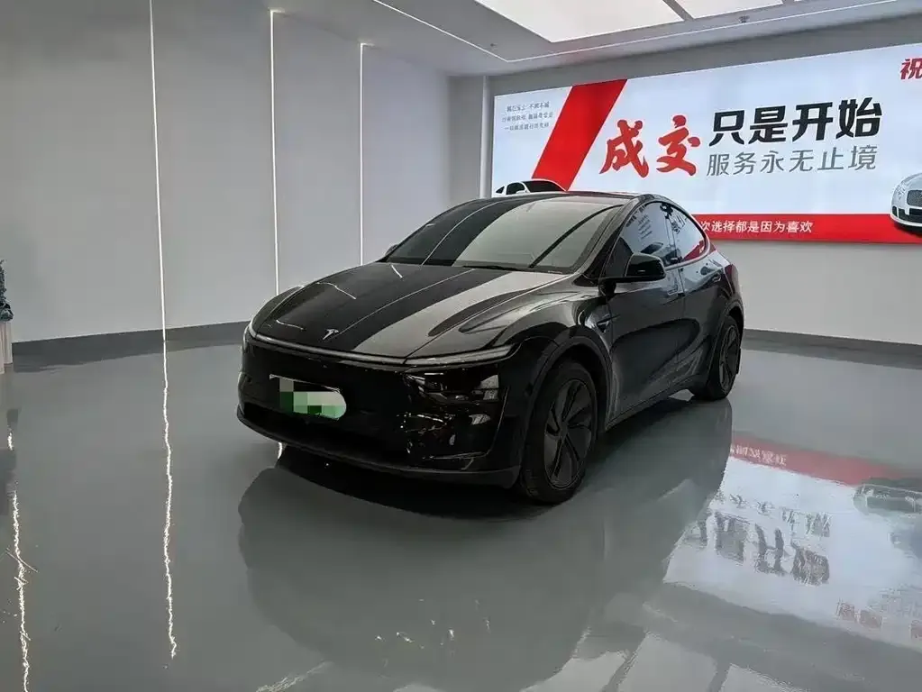 Tesla Model Y — фото 1