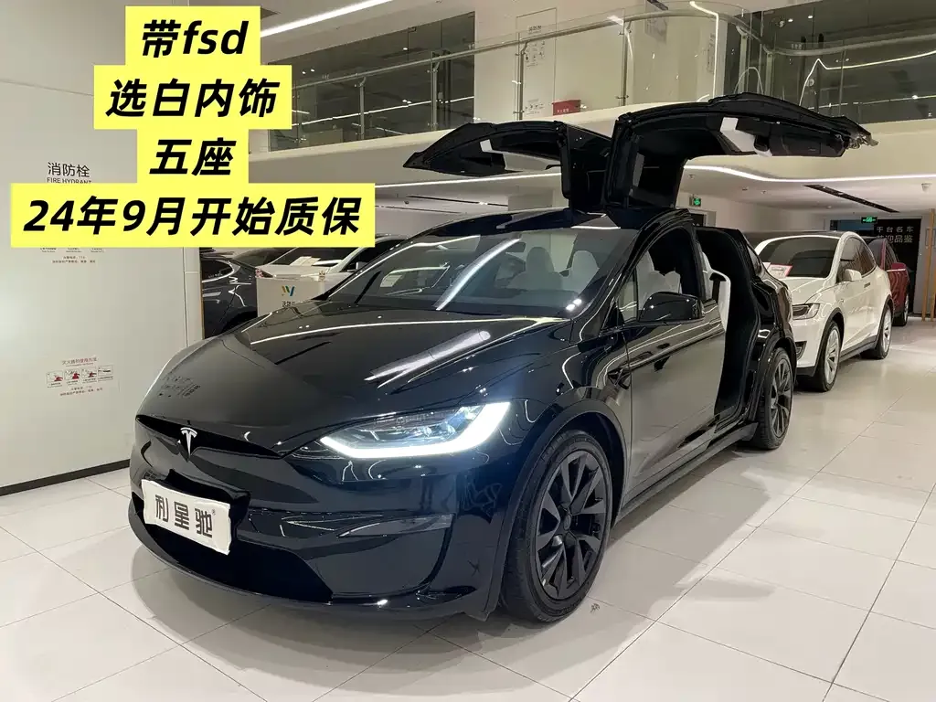 Tesla Model X — фото 1