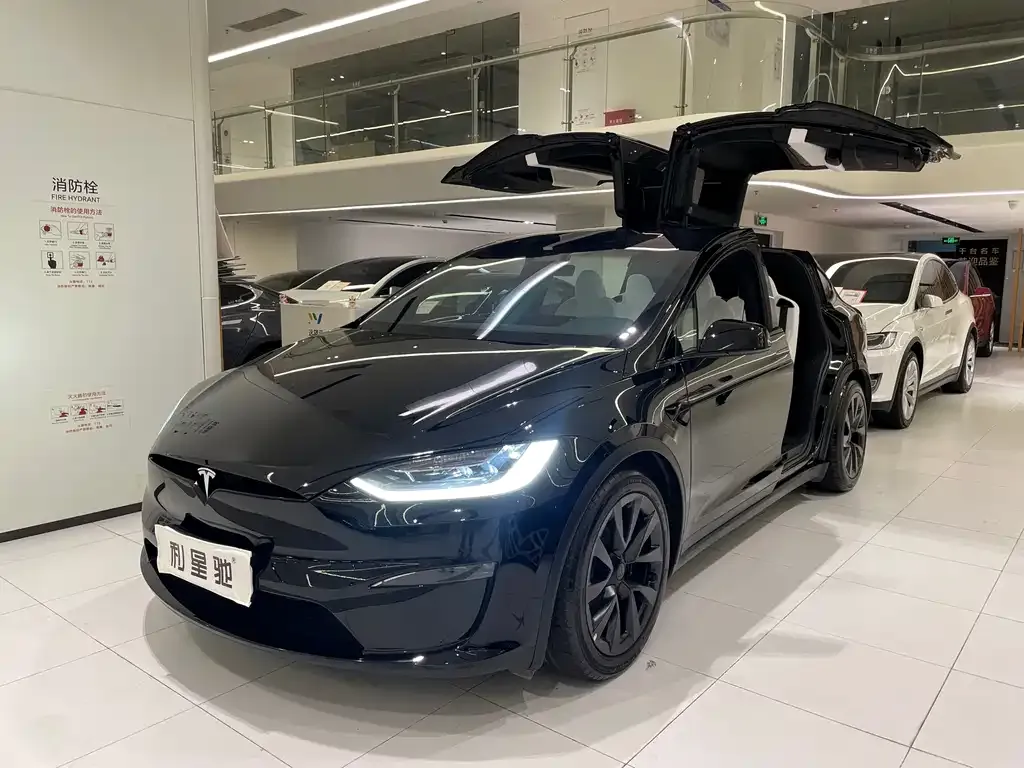 Tesla Model X — фото 10