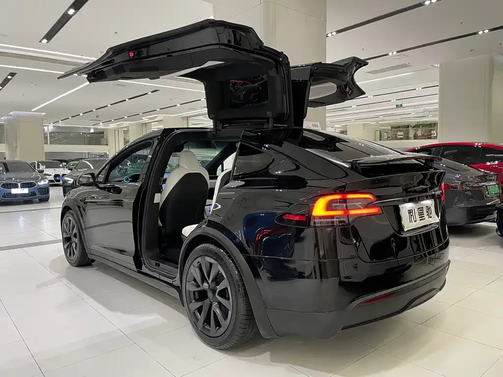 Tesla Model X — фото 8