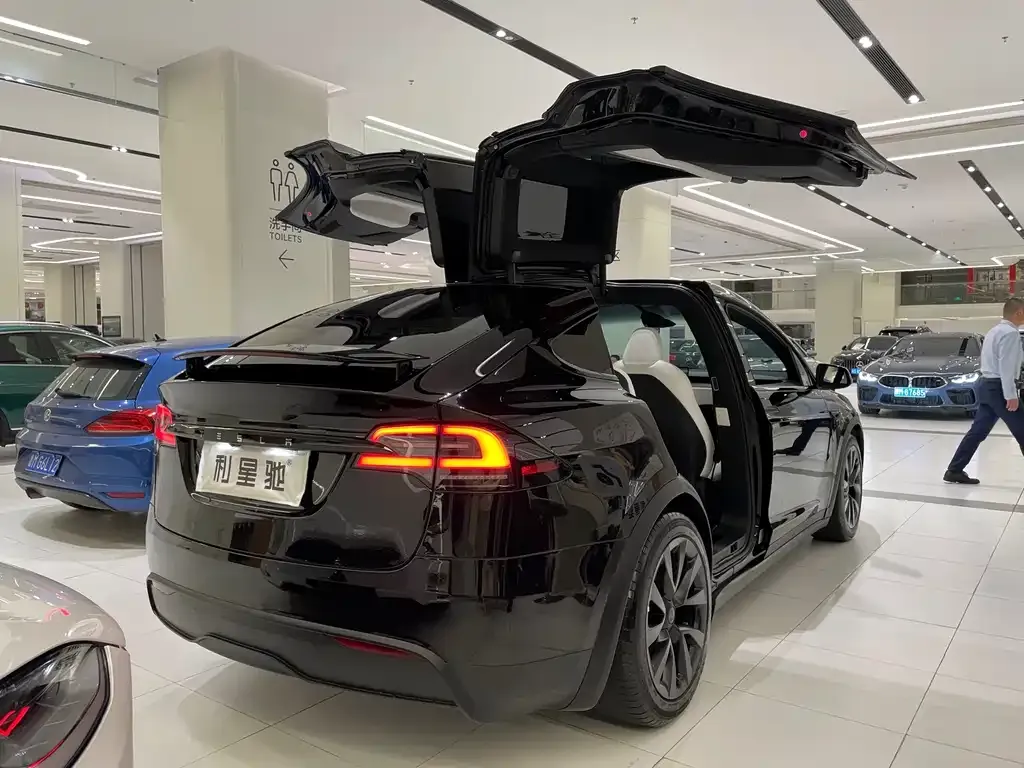 Tesla Model X — фото 7