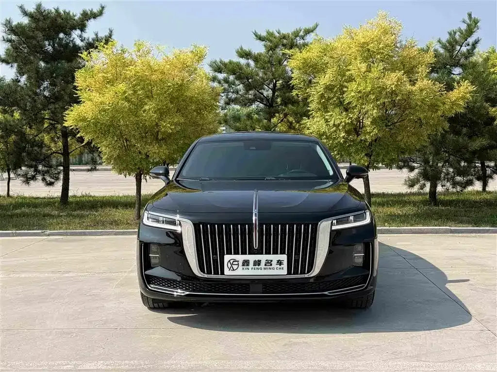 Hongqi H9 — фото 10