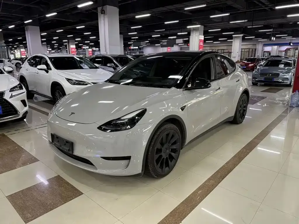 Tesla Model Y — фото 1