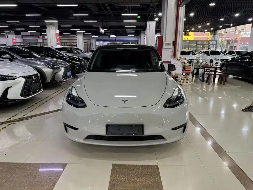 Tesla Model Y — фото 4