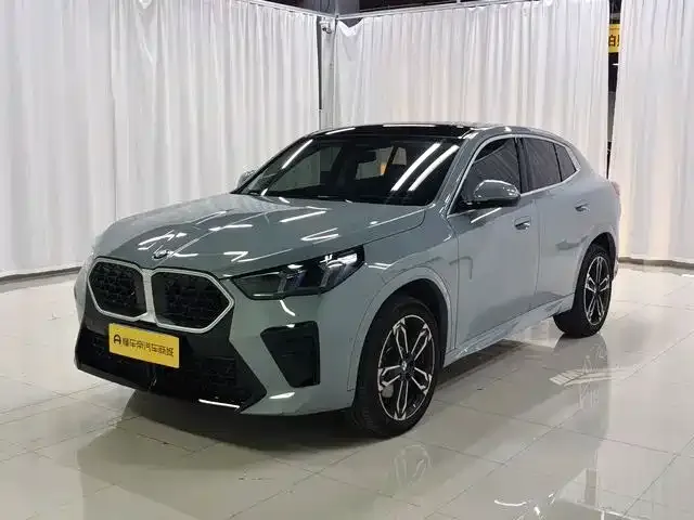 BMW X2 (Import) — фото 1