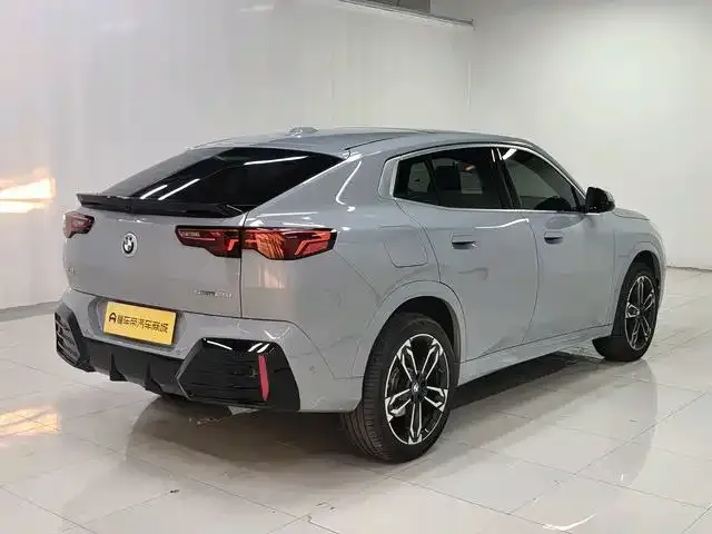 BMW X2 (Import) — фото 8