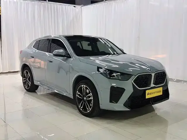 BMW X2 (Import) — фото 6