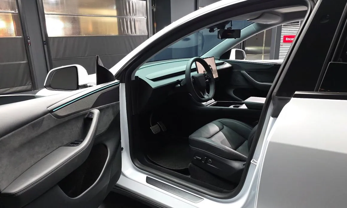 Tesla Model Y — фото 8