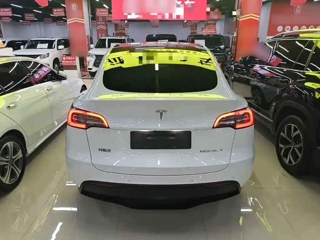 Tesla Model Y — фото 2