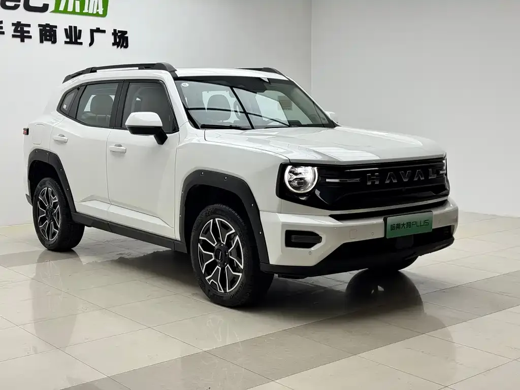 Haval Big Dog PLUS New Energy — фото 8