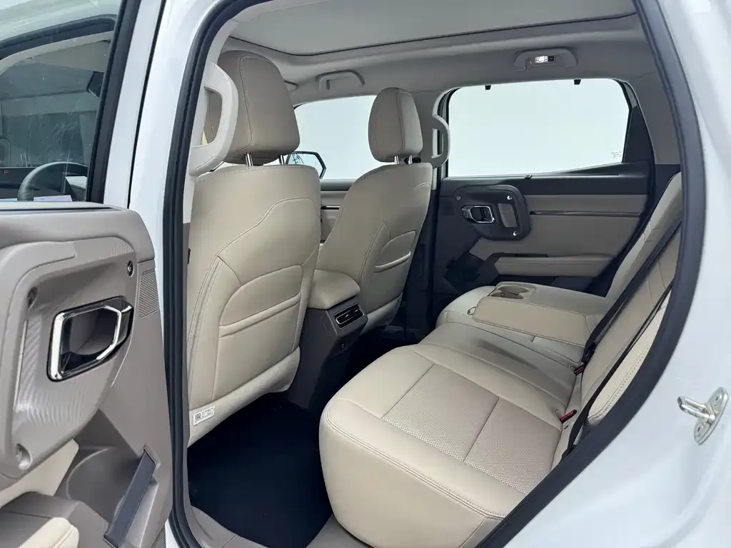 Haval Big Dog PLUS New Energy — фото 9