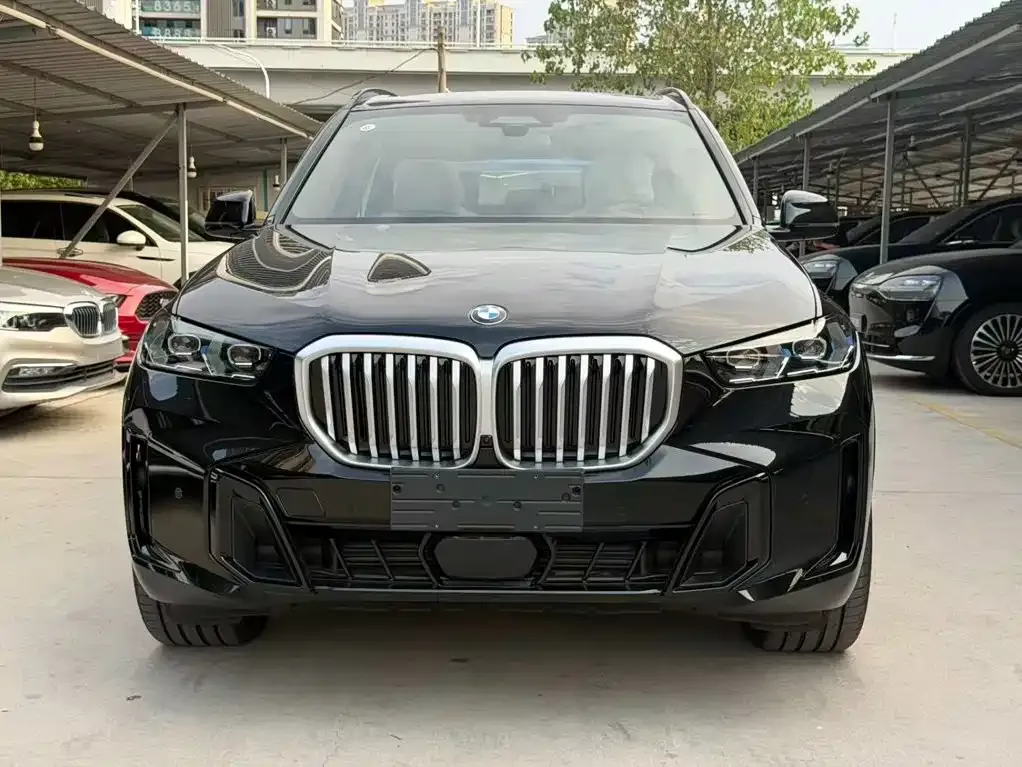 BMW X5 — фото 3