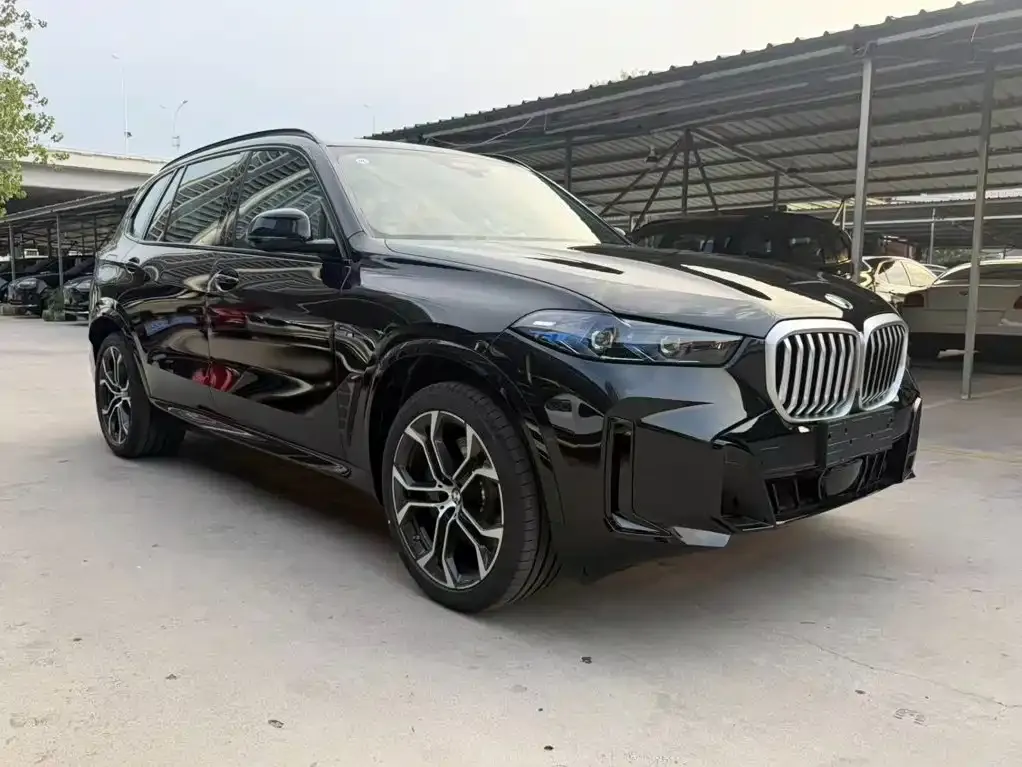 BMW X5 — фото 9