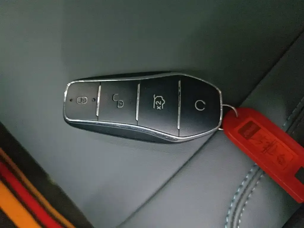 BYD L DM-i — фото 6