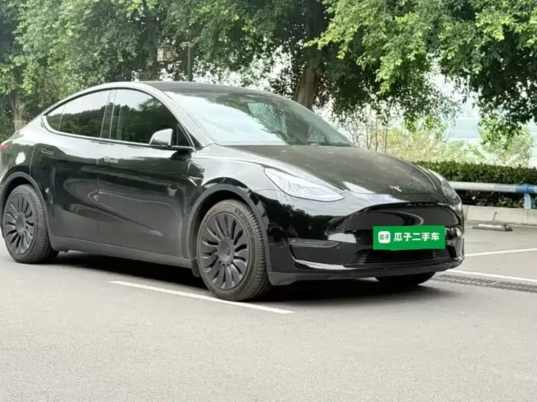Tesla Model Y — фото 5