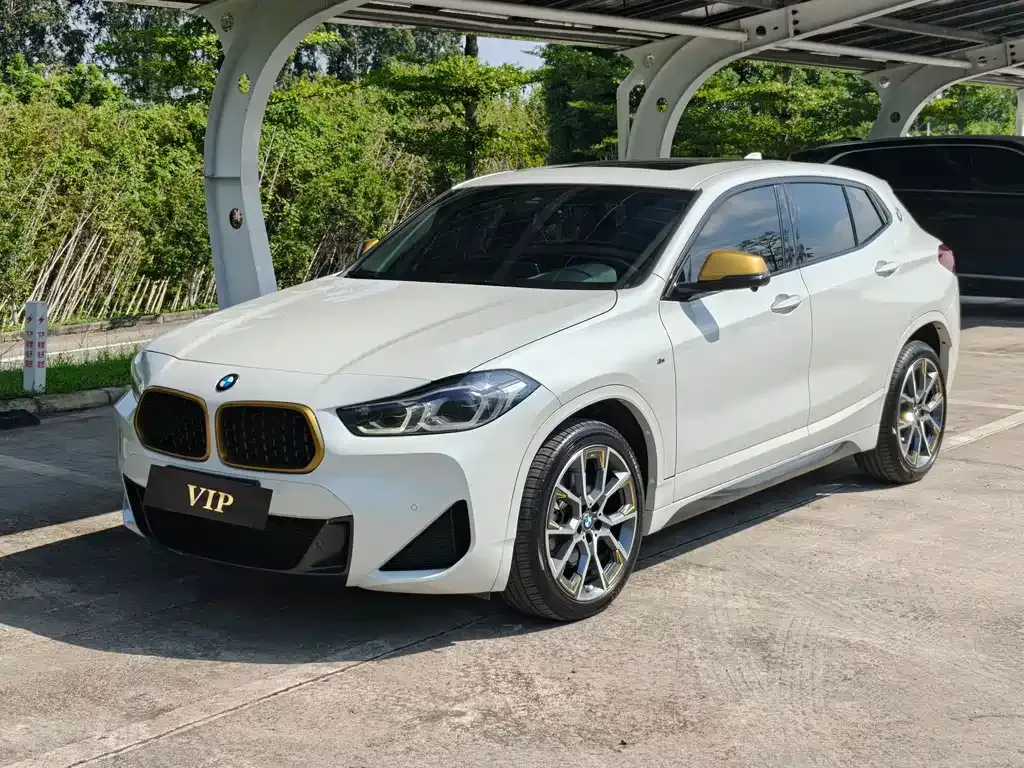 BMW X2 — фото 1