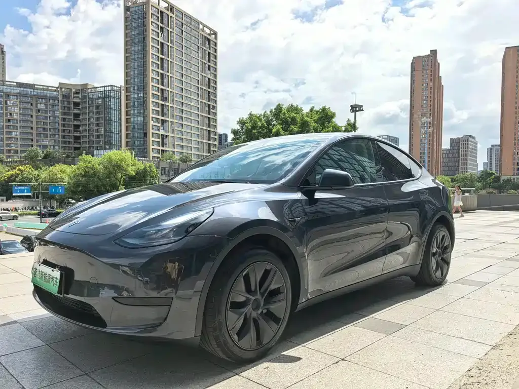 Tesla Model Y — фото 1