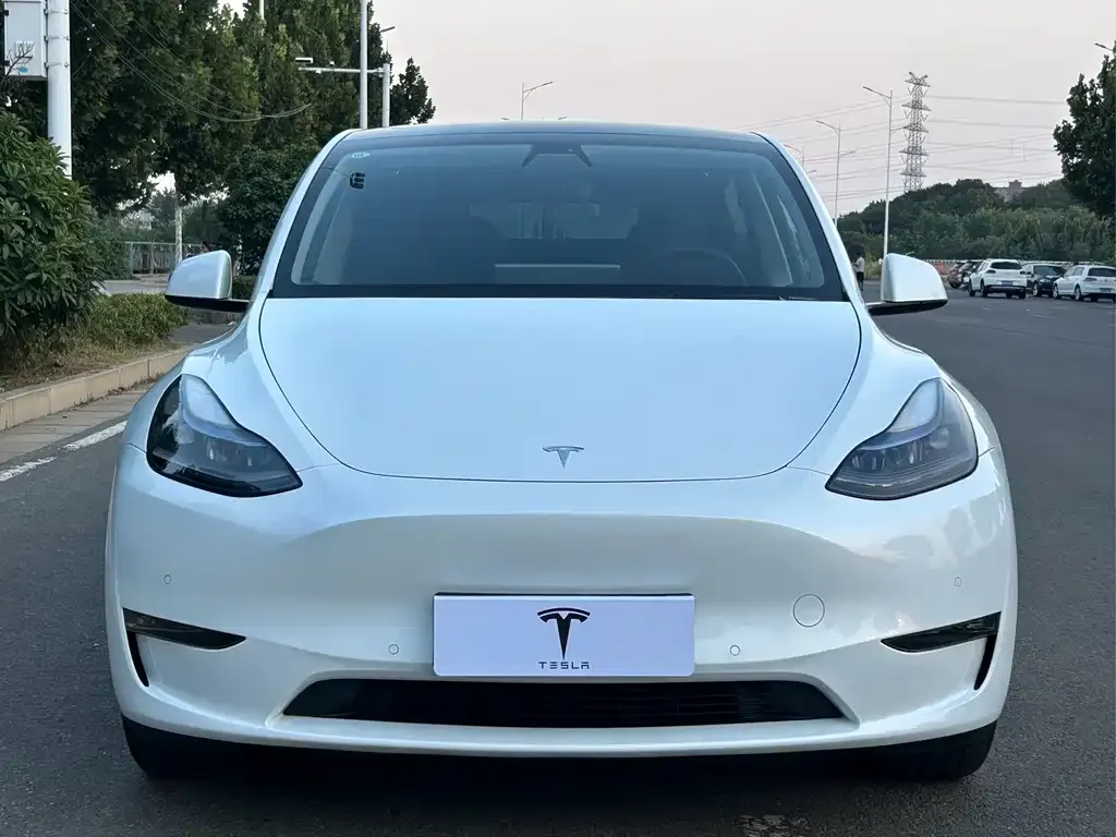 Tesla Model Y — фото 6