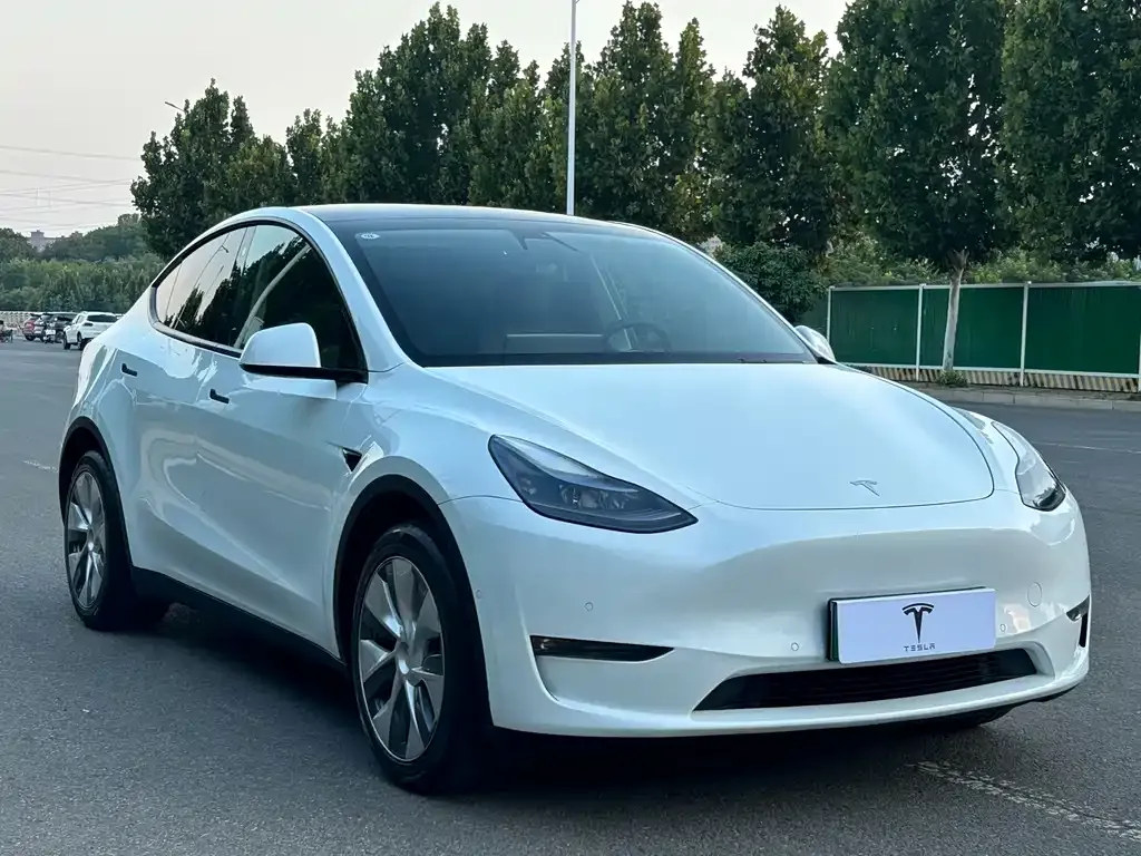 Tesla Model Y — фото 5
