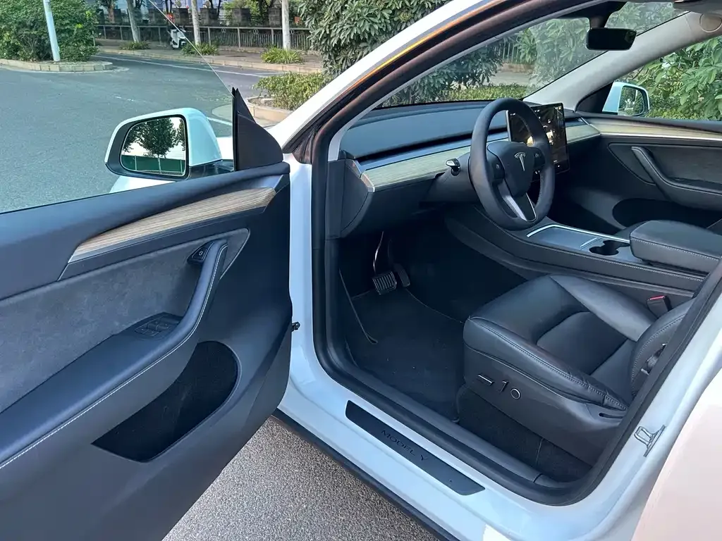 Tesla Model Y — фото 9