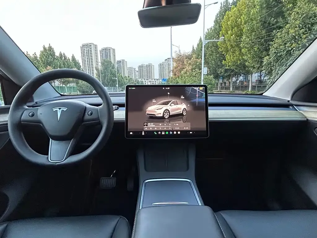 Tesla Model Y — фото 10