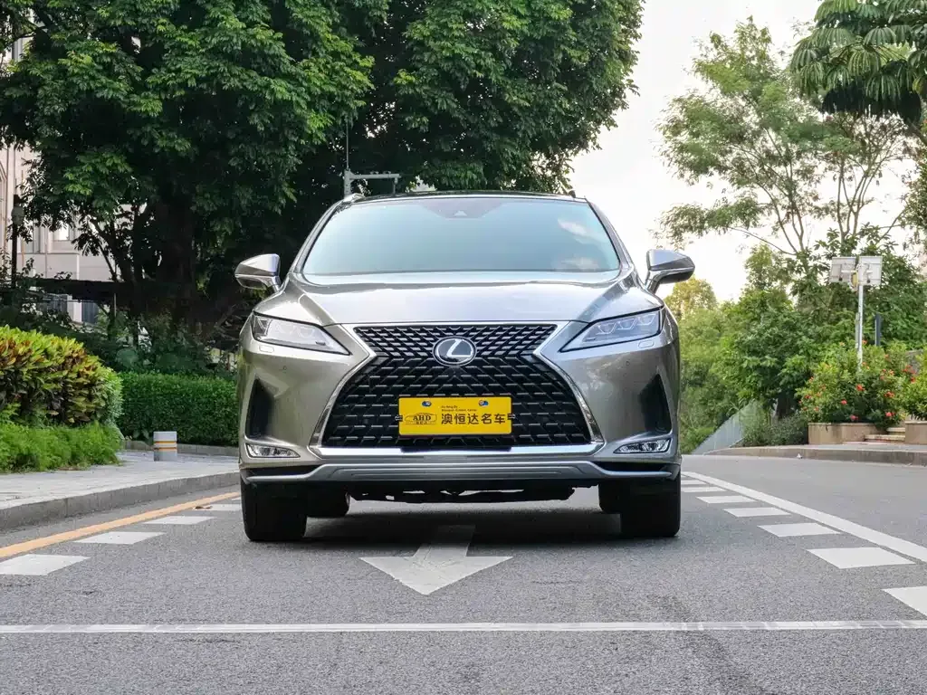 Lexus RX — фото 9