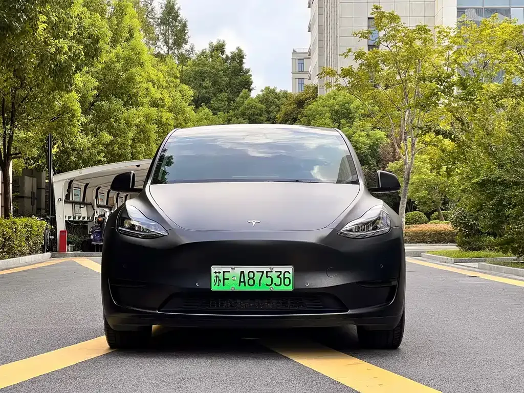 Tesla Model Y — фото 10