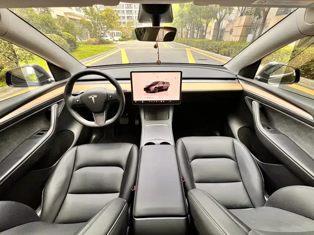 Tesla Model Y — фото 9