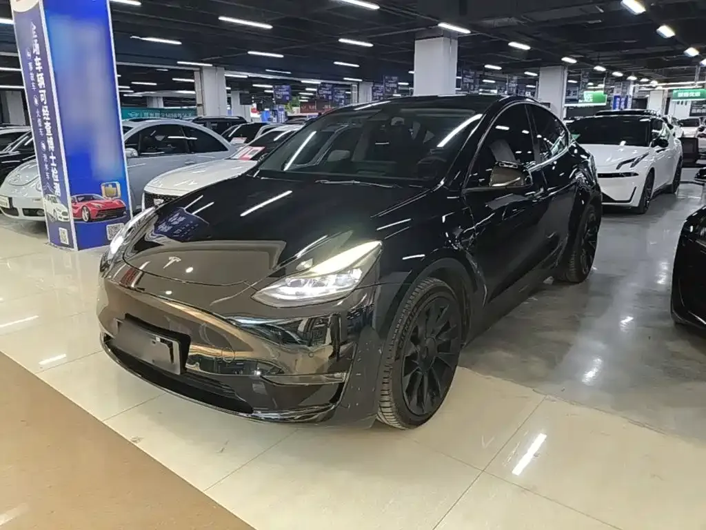 Tesla Model Y — фото 1