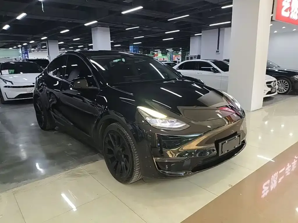 Tesla Model Y — фото 3