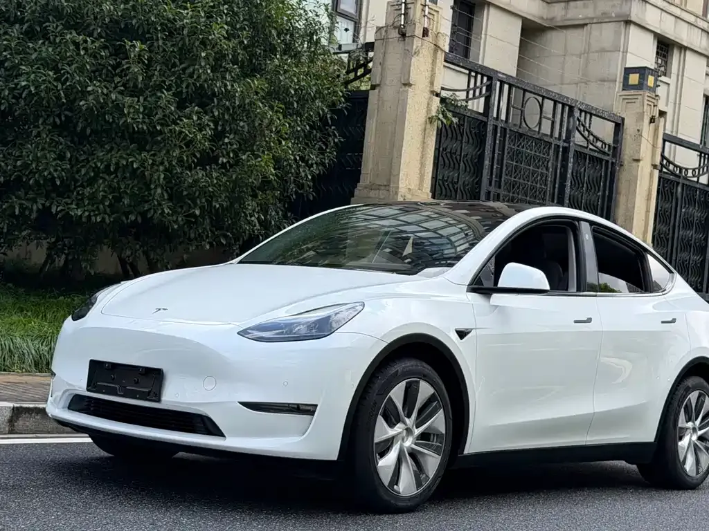 Tesla Model Y — фото 1