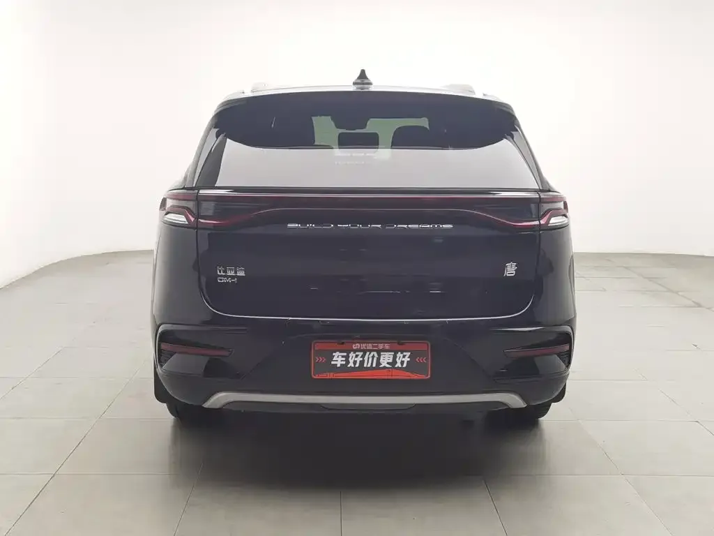 BYD Tang New Energy — фото 10