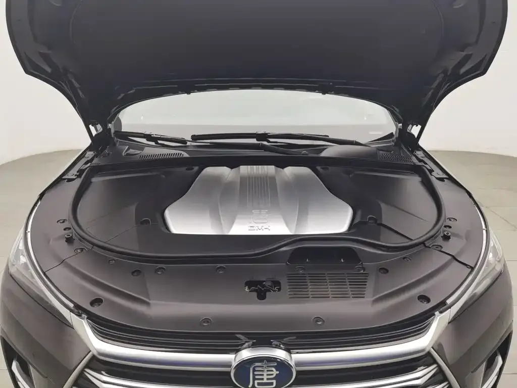 BYD Tang New Energy — фото 5