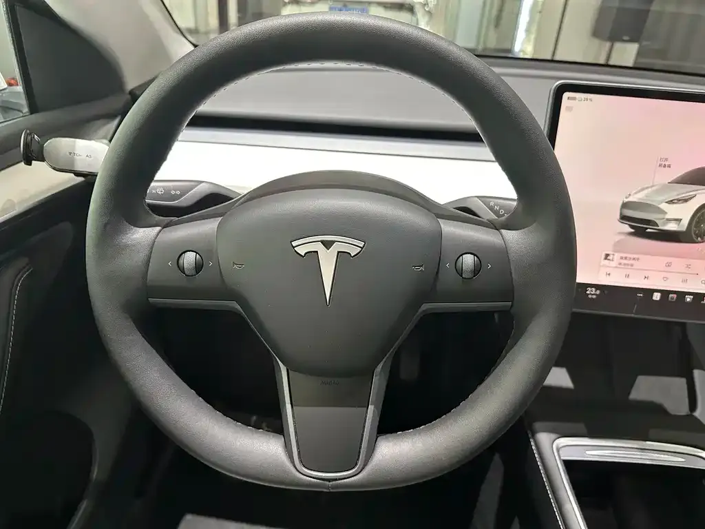 Tesla Model Y — фото 2