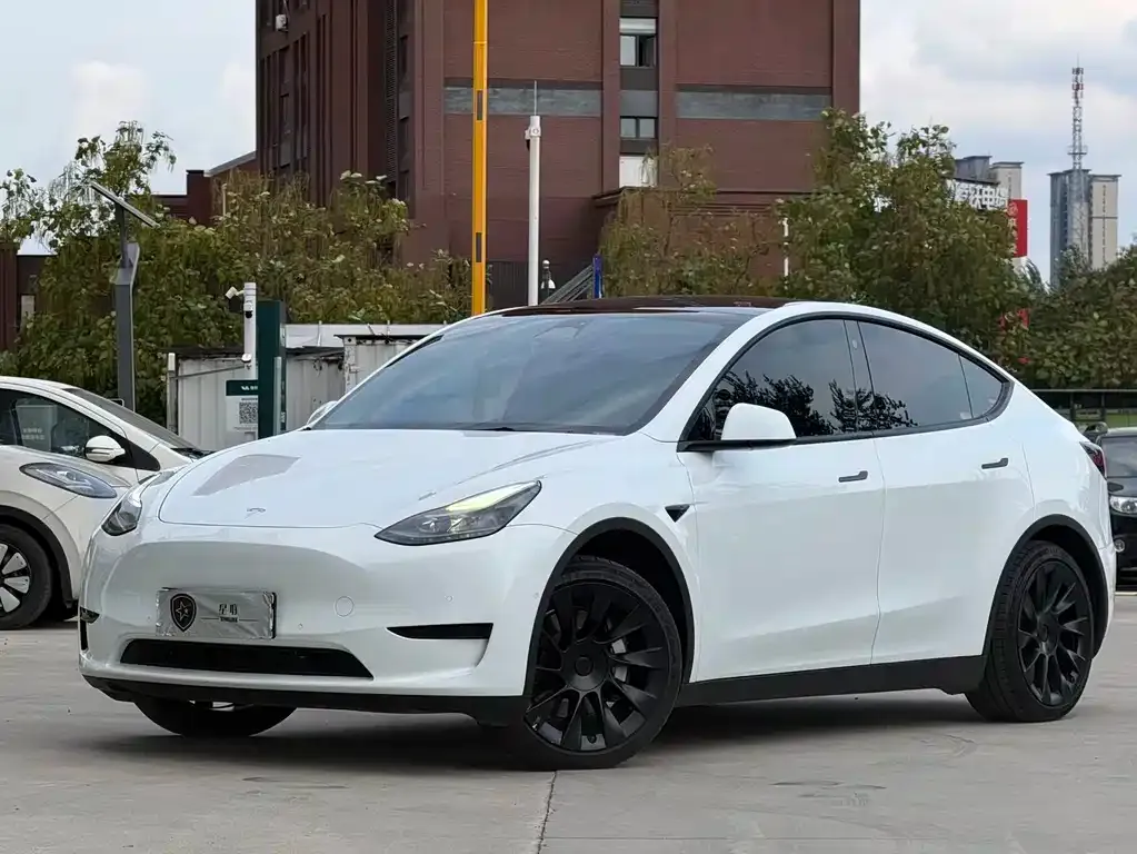 Tesla Model Y — фото 1