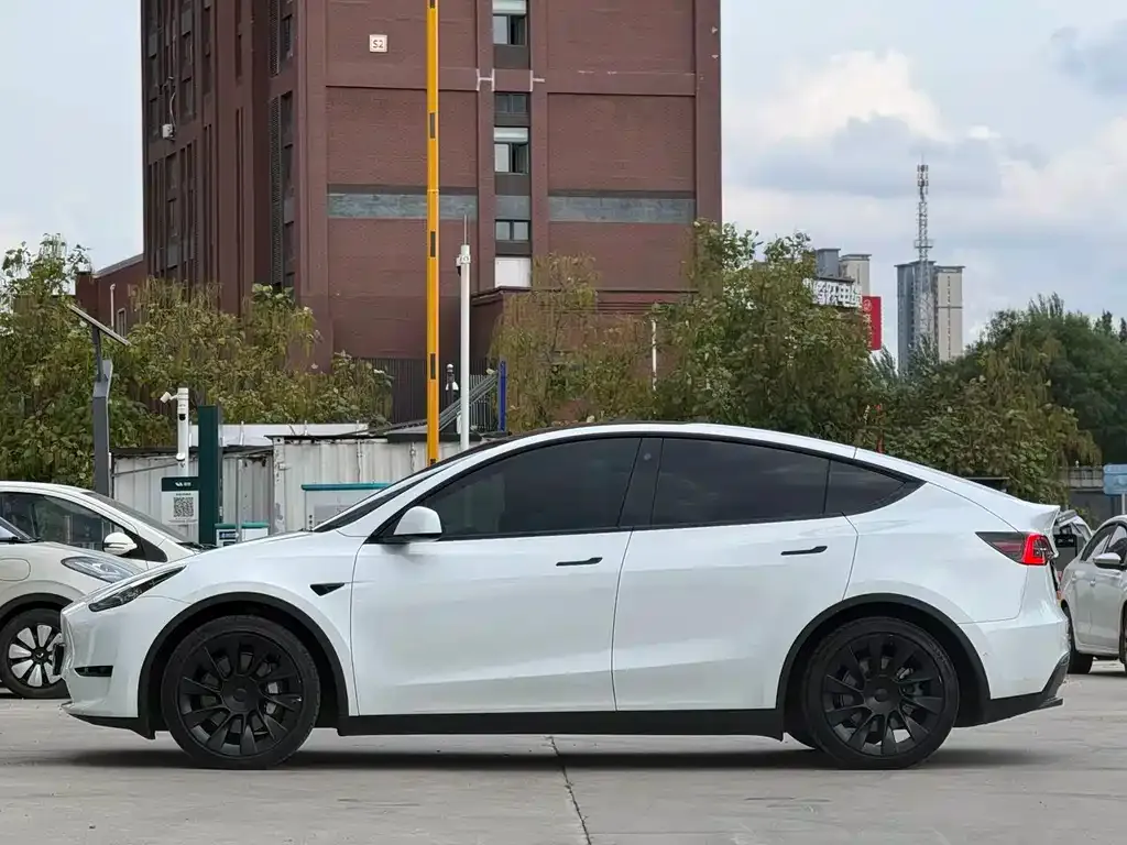 Tesla Model Y — фото 5
