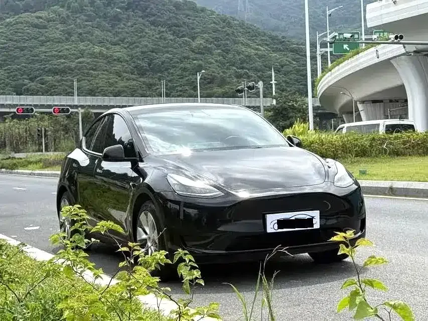 Tesla Model Y — фото 3