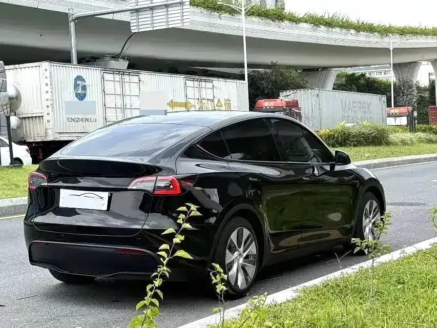 Tesla Model Y — фото 8