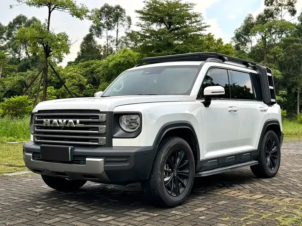 Haval Menglong New Energy — фото 1